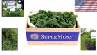 Soft 3lbs Of Forest Green Preserved Reindeer Moss - Perfect For Floral Arranging