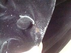 Vintage Four Button Black Velvet Cape Sz M l Fabulous  Boho Retro