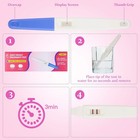 3 Pack Fake Test Positive Positive Test Practical Joke Pregancy Test Kit