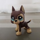 Littlest Pet Shop  817 Great Dane Brown Chocolate Dot Eyes Lps Rare Puppy Toy