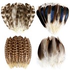 40pcs Natural Turkey Feathers pheasant Feathers duck Feathers spotted Feather   
