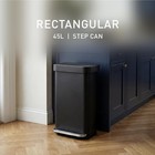 Trash Can 45 Liter Hands Free Step Soft Close Lid Matte Black Simplehuman Gallon
