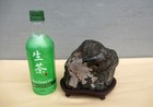 Kikkaseki Chrysanthemum Bonsai Japanese Natural Stone With Stand Suiseki Stone