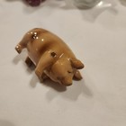 Lot Of Pig Collectibles Pig Trinket Box Glass Pig Paperweight Dept 56 Pig Figure