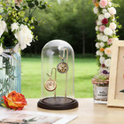 Clear Glass Pocket Watch Display Dome Case With Base  4x8 Gold dark Red
