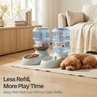 Automatic Pet Feeder   Waterer Set Of 2 Pack  Self Feeding Replenish Dog Cat Bow