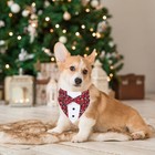 Christmas Dog Tuxedo  Dog Christmas Outfit Adjustable Tuxedo With Bow Tie Collar
