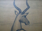 African Gazelle Sketch Drawing Art Original Framed 1967 Signed  Fcl