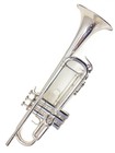 Yamaha Ytr-800gs Bb Trumpet Pro Model Gold Brass Bell Silver Plated Case