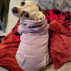 Soft Fleece Dog Hoodie Sweater Small Dogs Warm Winter Pet Clothes Purple Xs