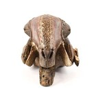 Baule Ram Mask Gbagba White Cote D ivoire