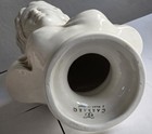 Beautiful Vintage Italian Carraro Classical Venus Bust Sculpture     Made In Italy