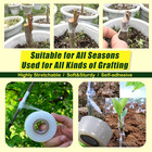 Nursery Grafting Tape  Plant Buddy Tape For Fruit Trees Grafting Self-adhesive P