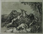 1834 Paper  The Wolf  Shipwreck  Cemeteries  Cairo Etc   Wolf Hunt Cover Illust 