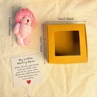 Mini Bears Bear Stuffed Animal In Box Handmade Little Animal Pocket Toy Gift