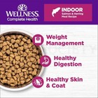 Wellness Complete Health Adult Dry Indoor Cat Food Salmon And Herring 11 5lbs