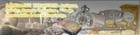Eritrea Colonia 1931 1934 Postage Due Used Lot Part Sets 