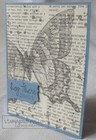 Stampin Up First Edition  24  Sheets 6x6 Designer Series Paper Dsp   Rare 