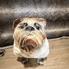 Large English Bulldog Ceramic Statue White With Brown