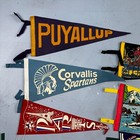 Vtg Pennant 1930s 1940s Princeton Collection Of 9 Lot Rare Football Antique