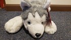 Fao Schwarz Plush Husky Dog Adopt-a-pet Realistic Floppy White Gray Puppy