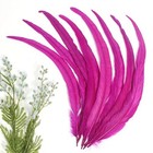  50pcs Rooster Coque Tail Feathers Bulk Natural 30-35cm For 12-14inch Hot Pink