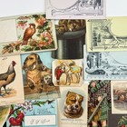 Lot Of 20 Antique Victorian Ephemera Calling Trade Cards  Postcards  Die Cuts