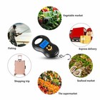 Digital Fish Scale Postal Hanging Hook Luggage Weight Lcd Mini Portable 50kg 10g