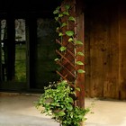 Expandable Garden Trellis  13  X 68  Thickened Wooden Lattice Trellis For Cli   