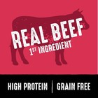 Grain Free High Protein Adult Dry Dog Food  Beef  4 Lb  Bag