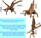 8 Pieces Natural Driftwood For Aquarium Decor  Assorted Sinkable Spider Wood  Re