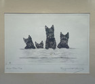 Marguerite Kirmse Pencil Signed Etching Of Scottish Terrier Dogs  over The Top 