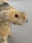 Vtg Steiff  Terrier Dog  Straw Stuffed And Mohair Glass Eyes Leather Nose