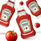 Heinz Tomato Ketchup  2 Ct Pack  50 5 Oz Bottles
