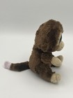 Ty Coconut Monkey Beanie Babies 2 0 Purple Glitter Eyes Plush Toy 6 Inch