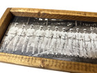 Antique Style 1929 Philadelphia A s Panoramic Team Photo Direct Print Wood  9x36