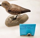 Hand-carved Wooden Sanderling Shorebird By D  Ramey     Limited Edition Life Size