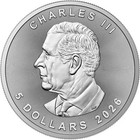 Street Provocation Edition 1 Oz Silver Coin 5  Canada 2026