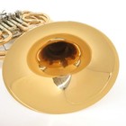 Yamaha Yhr-567gdb Horn Full Double