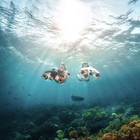 Sublue Mix Pro Dual Motor Underwater Scooter   Black