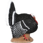 Delta Mckenzie Strutter Turkey Backyard 3d Target