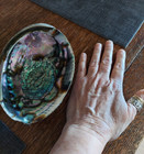 Large Abalone Shell Natural Paua Rainbow Lg Sea Green Blue Shell Beach 6 Inch