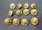Brass Button 5 8    Shank Us Navy Eagle Anchor  Lot Of 12 Buttons