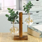 Glass Hydroponic Plant Vase With Wooden Stand Bulb Propagation Planter