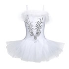 Kids Girls Ballet Dance Dress Party Ballerina Tutu Leotard Skate Costume Outfits