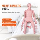 Male Manikin Model Anatomical Nursing Training Patient Care Teach Practice