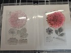 Stampin  Up  Delicate Dahlias Stamp Set Flowers Heartfelt Sympathy Inspire