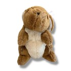 Peter Rabbit Eden Plush Stuffed Animal 11  Vintage Brown No Jacket Warne
