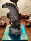 Antique Porcelain Pre-1900 Nicely Detailed Colorful Eagle   Superb Condition 