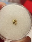 Pure Gold Nugget Alaska Yukon Bc Natural Fine 22k  206g